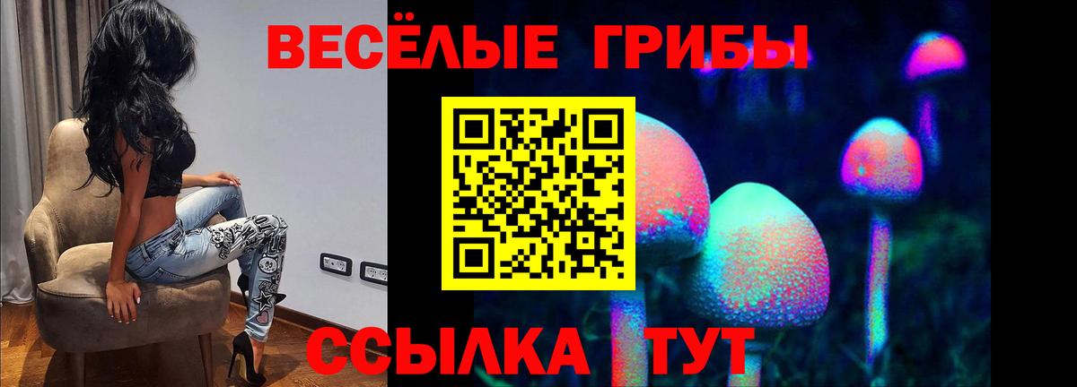 Тихвин  Галлюциногенные грибы Psilocybine cubensis  Вход с VPN  Галлюциногенные грибы GOLDEN TEACHER 